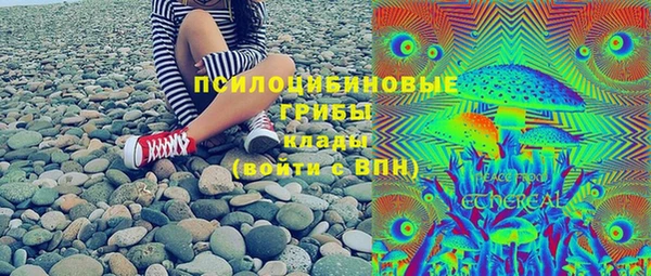 стаф Михайловск