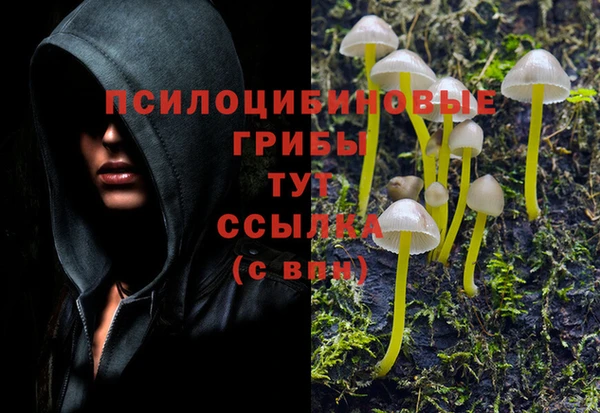 ГАЛЛЮЦИНОГЕННЫЕ ГРИБЫ Наволоки