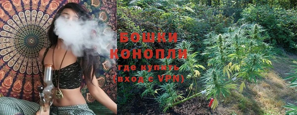 стаф Михайловск